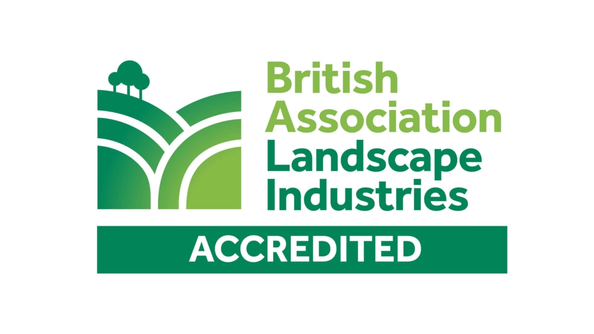 BALI Accredited primary logo